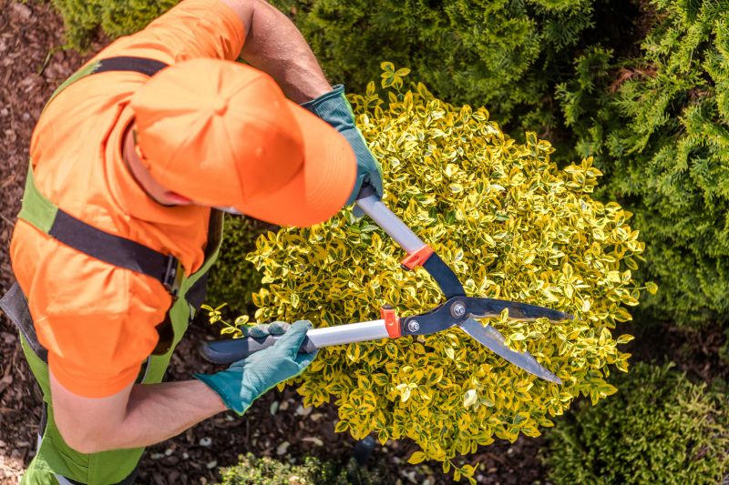 Tree And Shrub Pruning