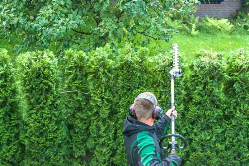 Arborvitae Pruning in Honolulu, HI